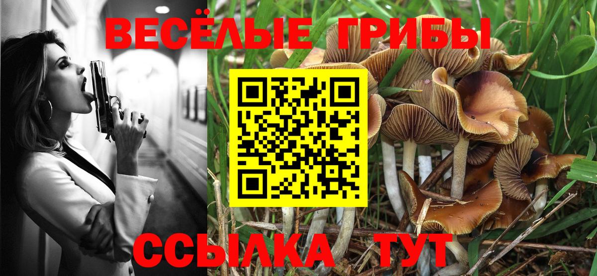 Псилоцибиновые грибы ЛСД  Вход с VPN  Галлюциногенные грибы GOLDEN TEACHER  Топки 