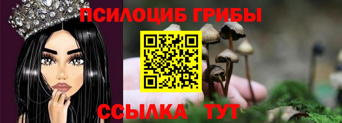 Галлюциногенные грибы Cubensis  Топки  Псилоцибиновые грибы прущие грибы 